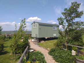 The Buteland Stop Rosie off grid Shepherds Hut